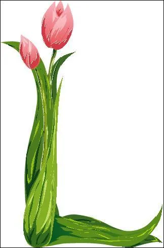 Qualifie un cheval apte aux gros travaux de labour et de trait :