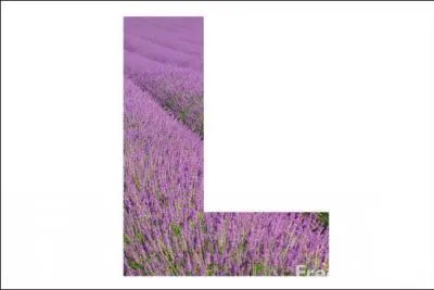 Terme de pêche. Longue perche pour battre l'eau et faire entrer le poisson plus facilement dans les filets :