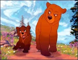 Quels sont les totems des frères du grand ours ?