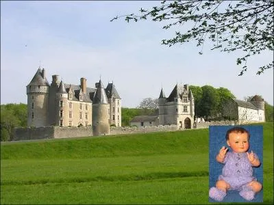 Rendez-vous, à présent, entre la vallée de l'Indre et du Cher. Ce château est idéalement situé dans une clairière au centre de trois vallons frais.
Quel nom associez-vous à « Mont » pour obtenir le nom complet ?