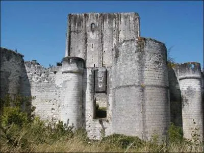 Quel nom de poissons porte ce château d'Indre-et-Loire dont on voit sur la photo la forteresse et le puissant donjon ?