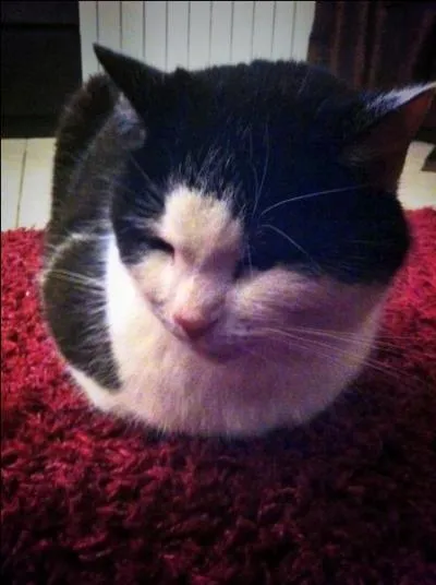 Noiraud est-il sympa avec Chi ?