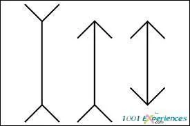 Quelle est la flèche la plus petite ?