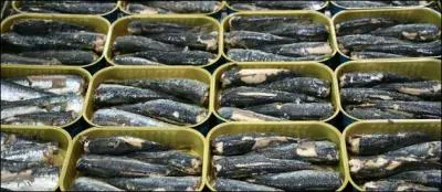 Votre p&egrave;re &eacute;tait Hindou ? Oui ! Votre grand-p&egrave;re &eacute;tait Hindou ? Oui ! Et votre arri&egrave;re grand-p&egrave;re ? C'&eacute;tait un dur !