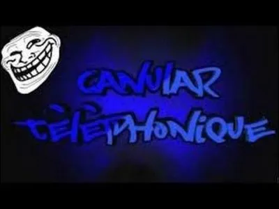 Parce que c'est vous, je vous donne un indice suppl&eacute;mentaire : La mienne est plus grosse que la votre !