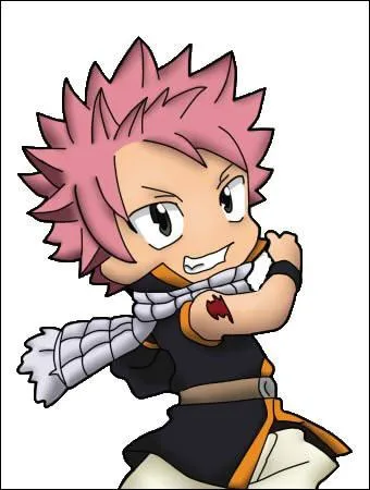 Chasseur de dragons, j'utilise la magie du chasseur de dragons de feu. Mon exceed s'appelle Happy. Qui suis-je ?