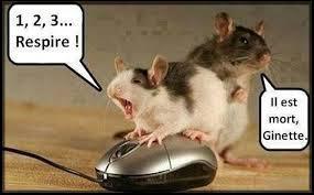 Leur compagnon d'aventure ne respire plus... Qu'est-ce ?