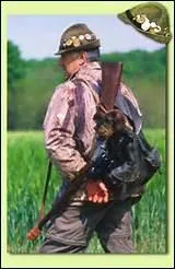 Quels animaux les teckels chassent-ils principalement ?