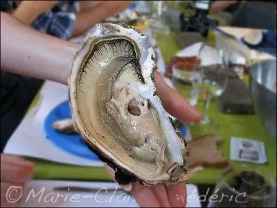 Donnez-moi le nom de cette huître énorme :