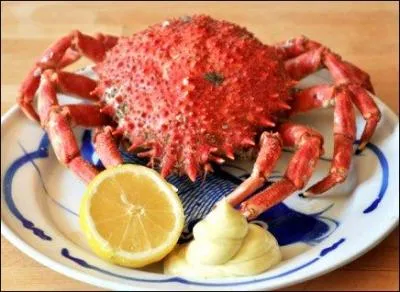 Quel est ce crustacé dont les connaisseurs apprécieront la chair ?