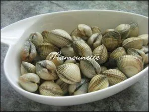 Que sont ces coquillages ?