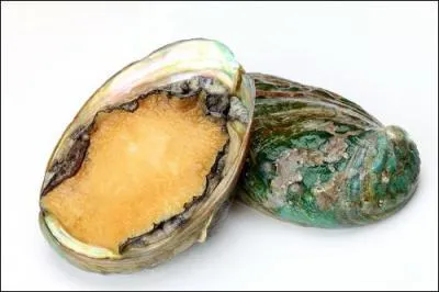 Quels sont ces fruits de mer peu connus, aux coquilles très colorées ?