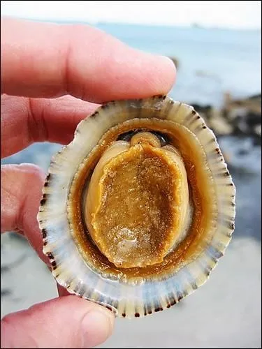 Reconnaissez-vous celui-là ?