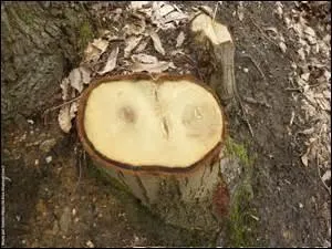 Et si parmi vous, il y en a qui frouent, c'est qu'ils se prennent pour des ----.