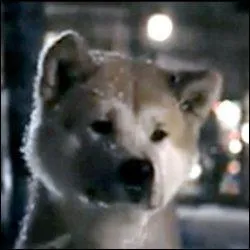 Cette histoire est-elle vraie ?