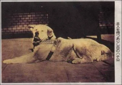 Où ? (pas le pays la ville)