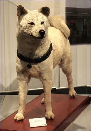 Où peut-on le voir autrement que sa statue ?