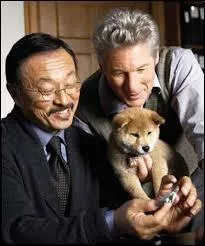 Que s'est-il passé ?