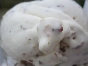 Dans cette glace au bacon, vous avez des chances de trouver aussi :