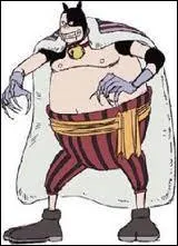 Comment Zoro a-t-il vaincu Tigré ?