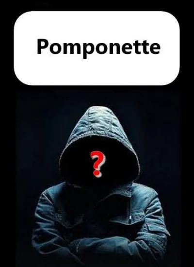 Qui est le personnage mystère ?