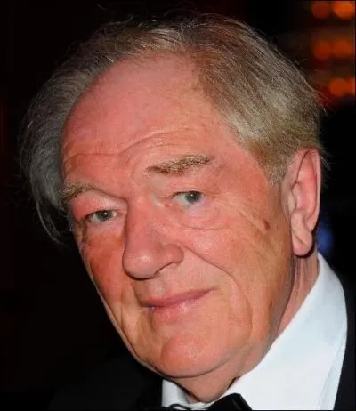 10. Richard Harris et Michael Gambon (96 pts)
Lequel de ces Dumbledore a été ami avec Sean Connery, a joué au rugby, eut des problèmes d'alcoolisme et fut adoubé par la reine du Danemark ?