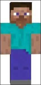 Comment s'appelle le skin de départ dans "Minecraft" ?