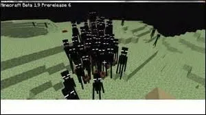 Que trouve-t-on dans l'Ender ?