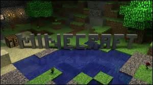 Quiz Minecraft