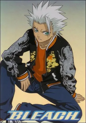 De quelle division Hitsugaya Toshiro est-il capitaine ?