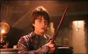 Que casse Harry dans la boutique d'Ollivander ?