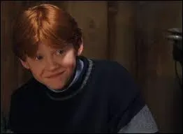 Où Ron a-t-il une tache ? (dans le train)