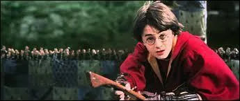 Que se passe-t-il pendant le match de Quidditch ?