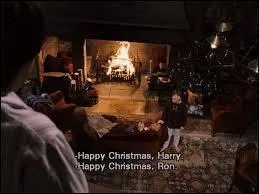 Qu'a eu Harry pour Noël ?