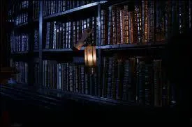 Que va faire Harry dans la réserve ?