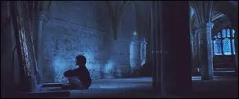 Que voit Harry dans le miroir ?