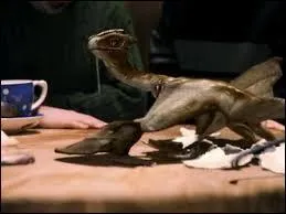 Comment Hagrid a-t-il appelé le dragon ?