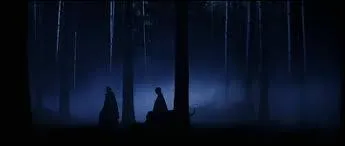 Que trouvent-ils dans la forêt ?