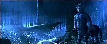 Comment s'appelle le centaure qui a sauvé Harry ?