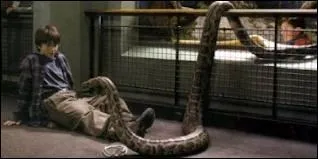 De quel pays vient le serpent du zoo ?