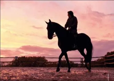 Cheval/chevaux, c'est :