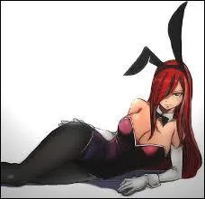 Comment s'appelle cette armure d'Erza ?