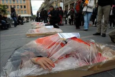 Le jour viendra où les personnes comme moi regarderont le meurtre des animaux comme ils regardent aujourd'hui le meurtre des êtres humains !
