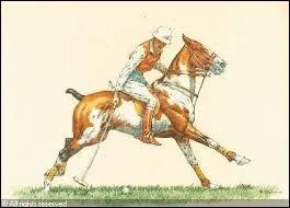 Avec quoi les joueurs de polo frappent-ils la balle ?