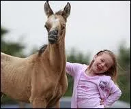 Cette image est d&eacute;form&eacute;e. Quel est cet animal ?