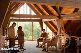 Qui trahit Tris et les autres ici ?