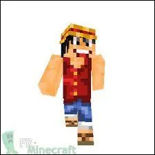 Pour qui se prend Luffy ?