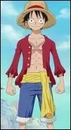 Pour qui se prend Luffy ?