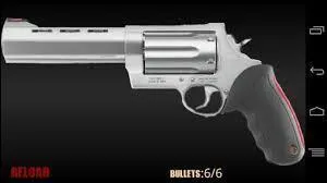 Quel est le nom de cette arme ?