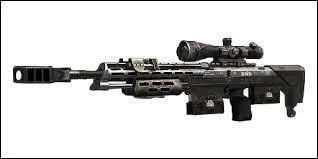 Quelle est cette arme ?